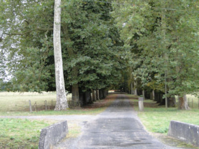 Country lane in Chevenon