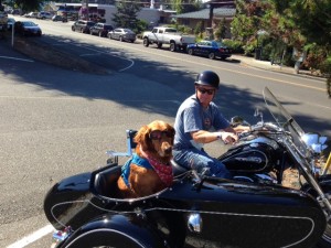 Out for a ride in Gig Harbor