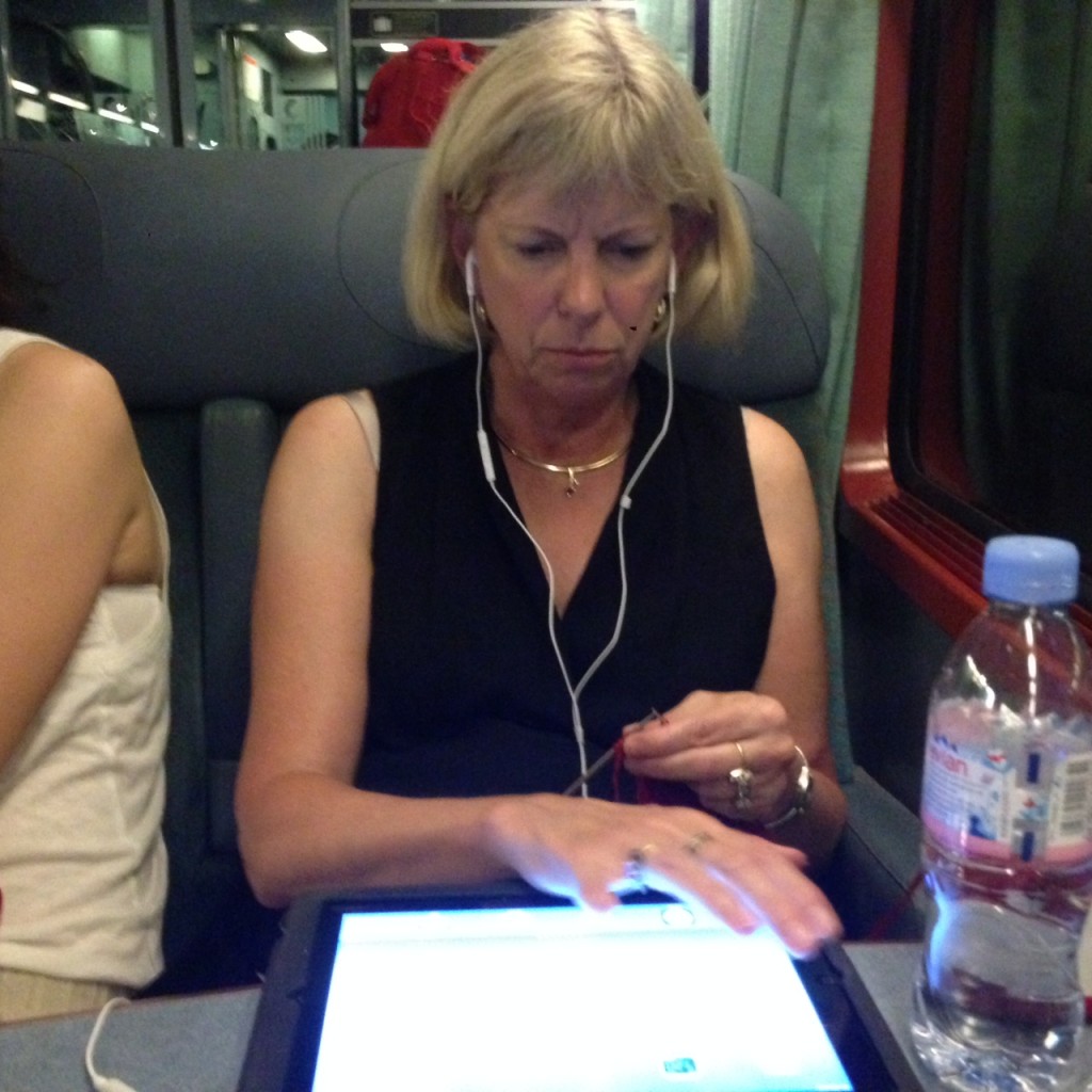 Jill knitting on the train